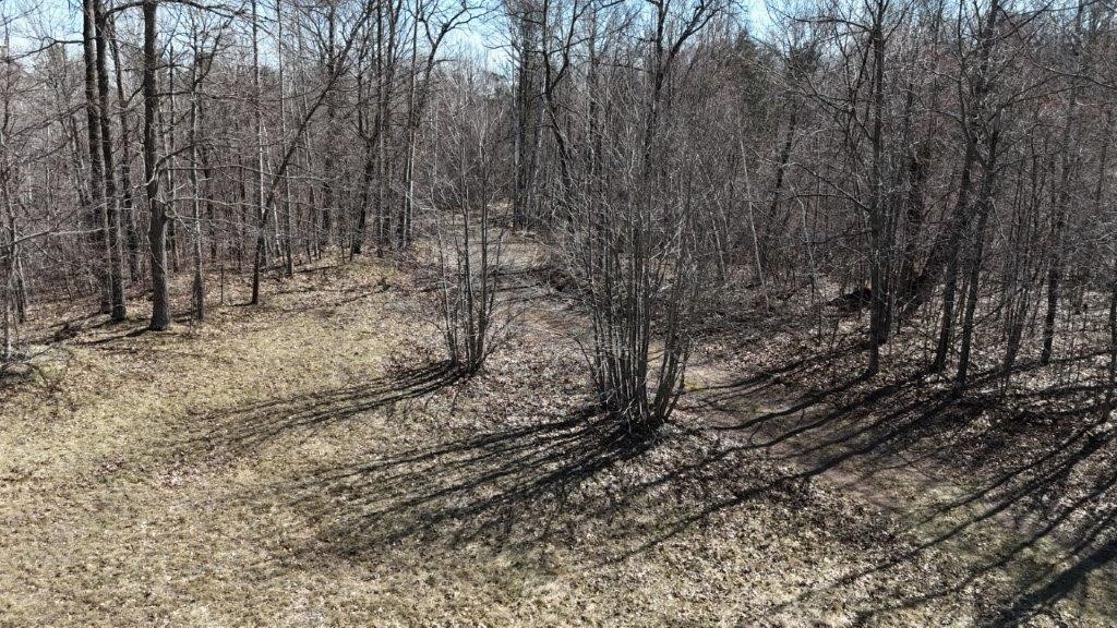 Land at 0 Highway 35, Danbury, WI 54830 — photo 3
