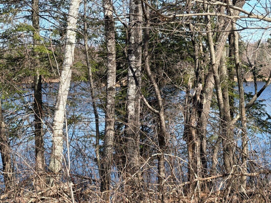 Land at 0 Highway 35, Danbury, WI 54830 — photo 5