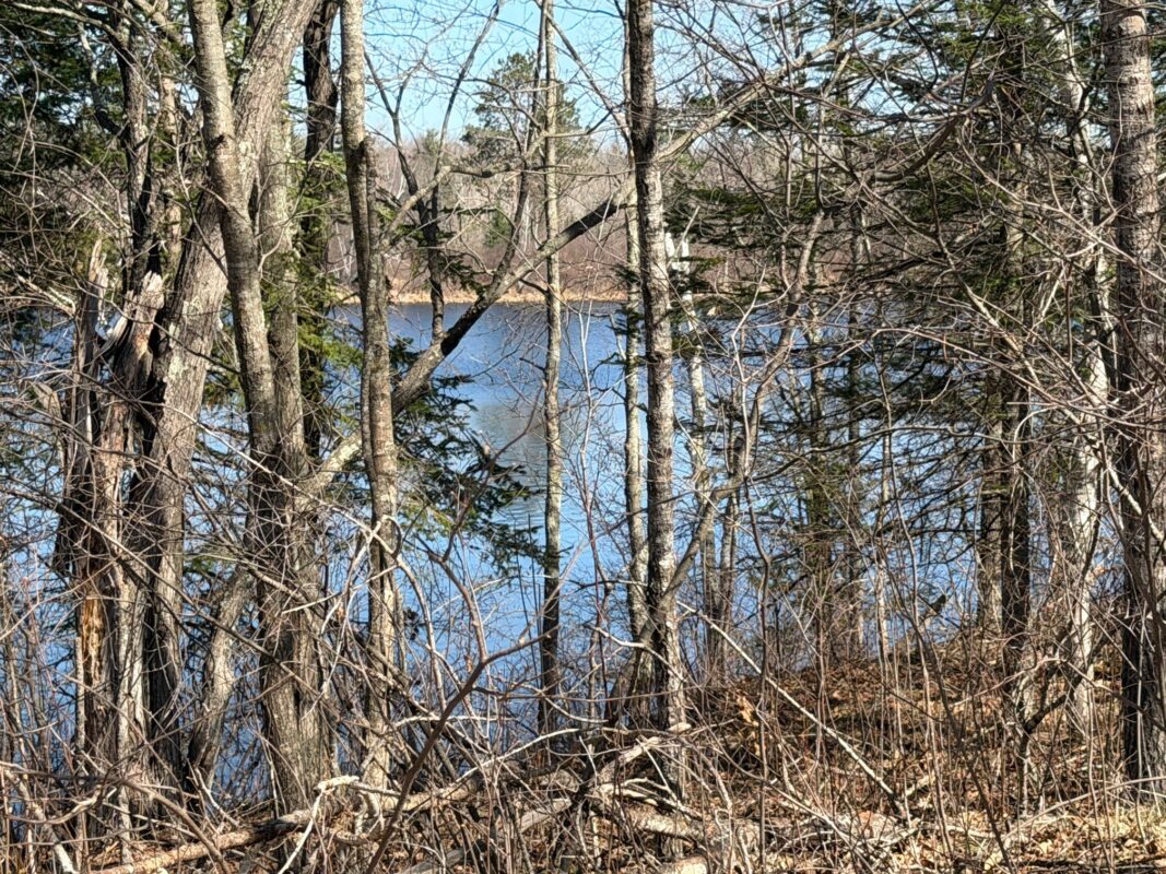 Land at 0 Highway 35, Danbury, WI 54830 — photo 6