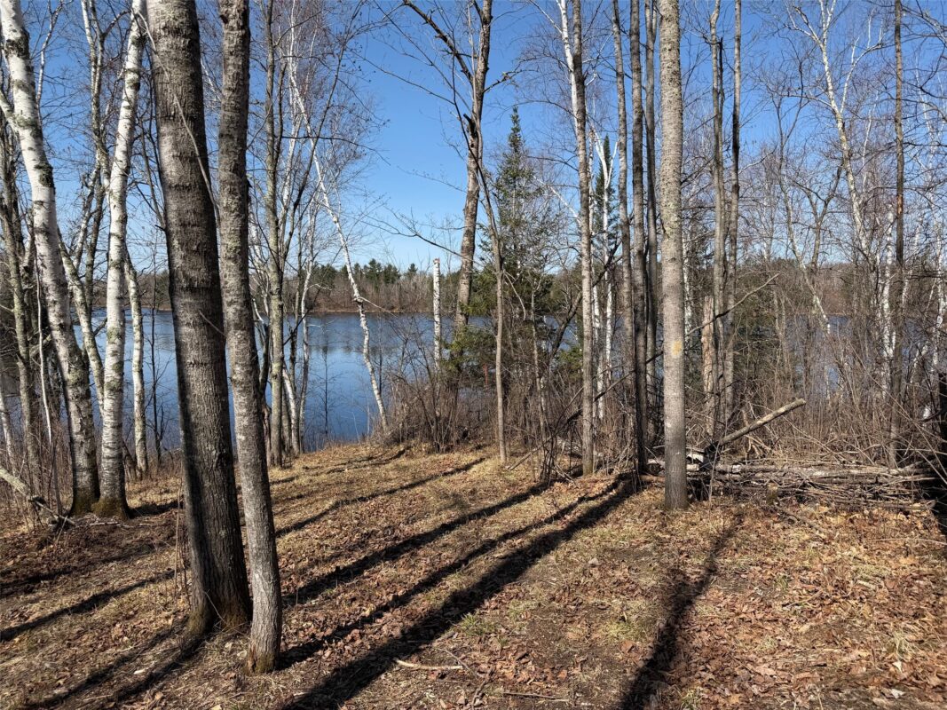 Land at 0 Highway 35, Danbury, WI 54830 — photo 7