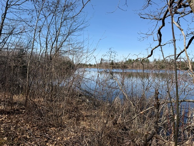 Land at 0 Highway 35, Danbury, WI 54830 — photo 8