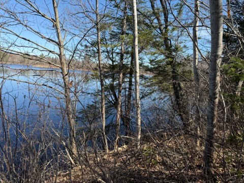 Land at 0 Highway 35, Danbury, WI 54830 — photo 9