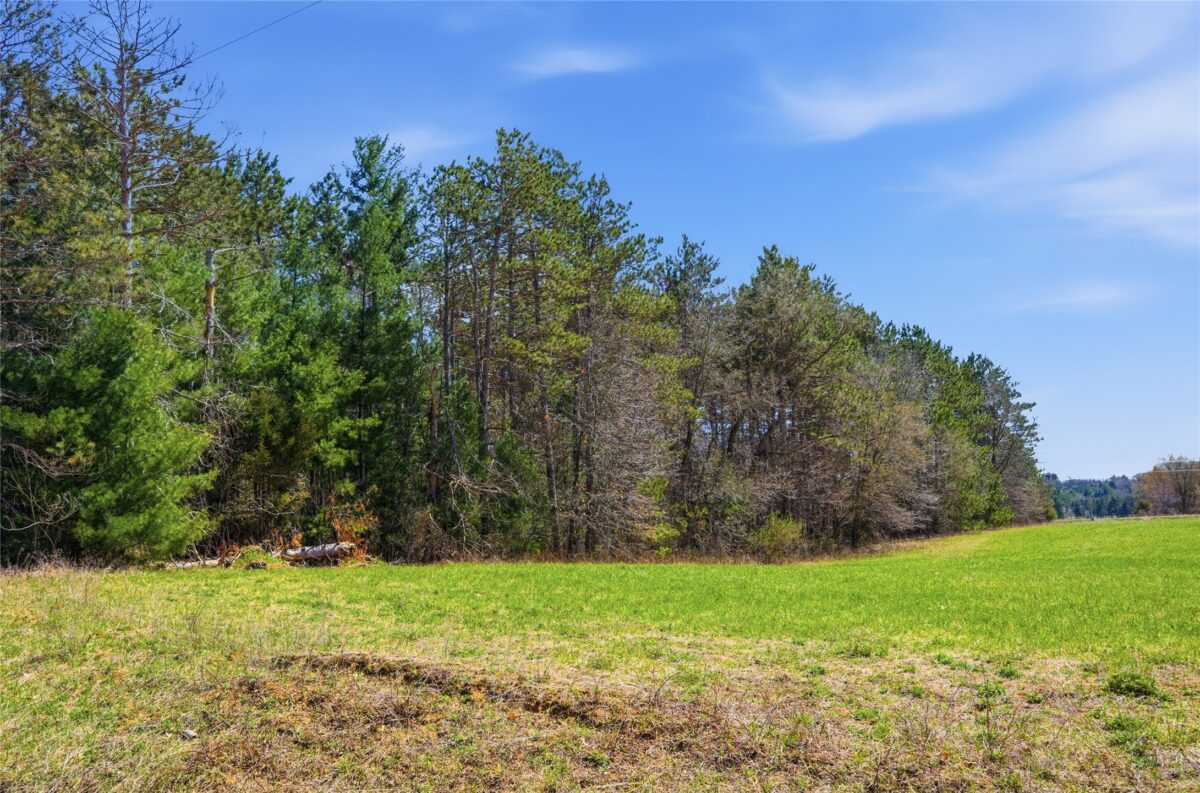 Land at 0 Nelson Road and WI-37, Mondovi, WI 54755 — photo 3