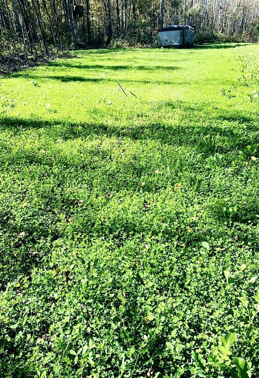 0 R Applebee Road, Exeland, WI — photo 11