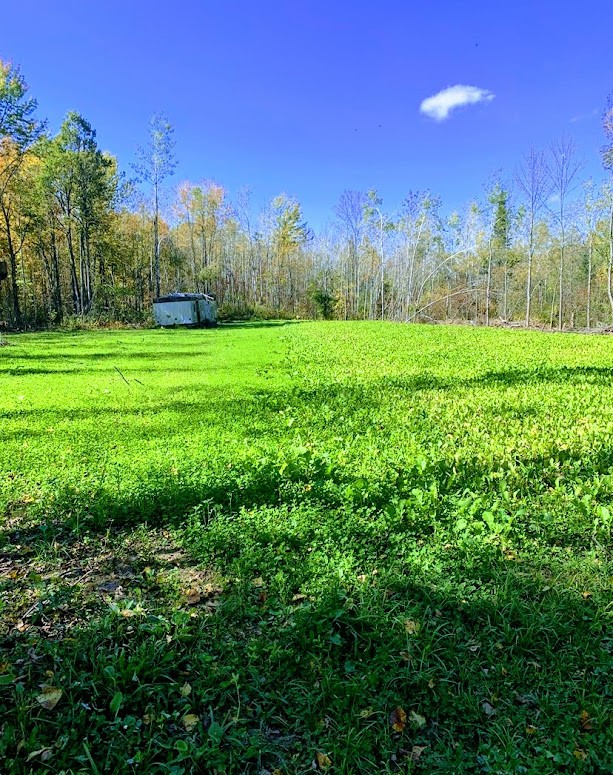 0 R Applebee Road, Exeland, WI — photo 13