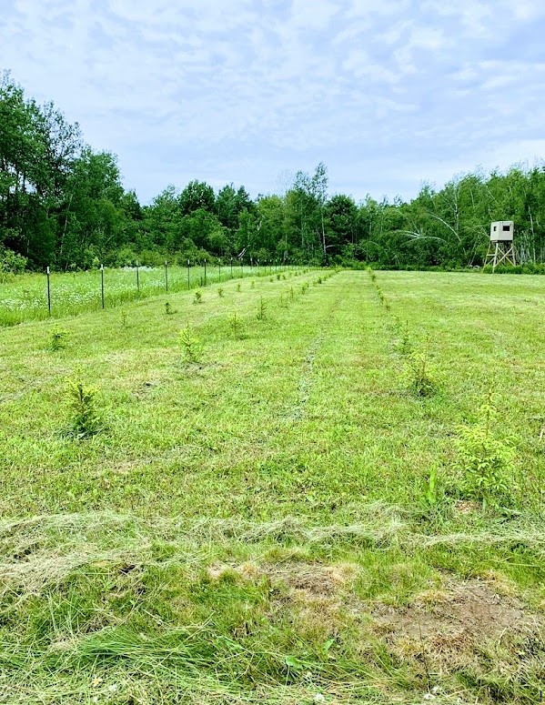 0 R Applebee Road, Exeland, WI — photo 14