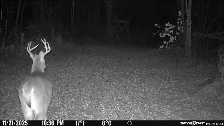 0 R Applebee Road, Exeland, WI — photo 15