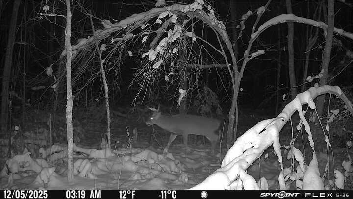 0 R Applebee Road, Exeland, WI — photo 17