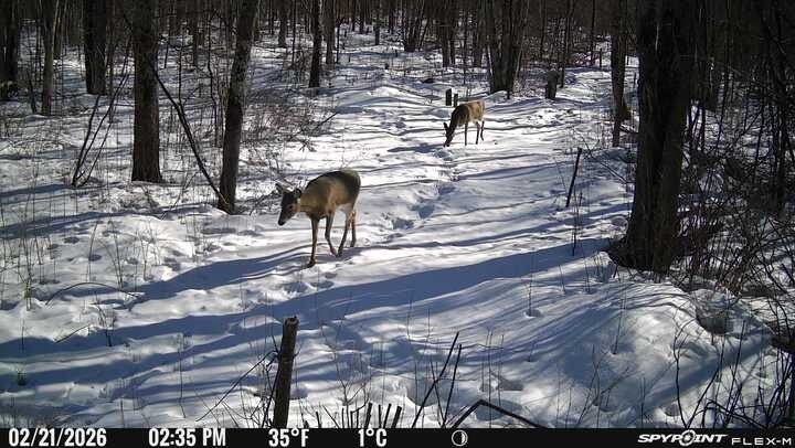 0 R Applebee Road, Exeland, WI — photo 18