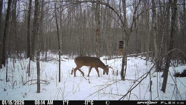 0 R Applebee Road, Exeland, WI — photo 19