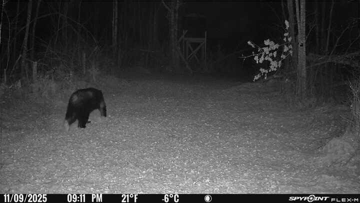 0 R Applebee Road, Exeland, WI — photo 20