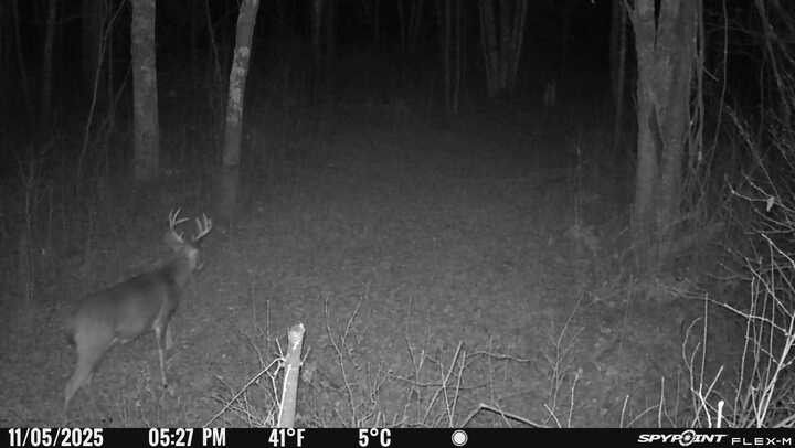 0 R Applebee Road, Exeland, WI — photo 21