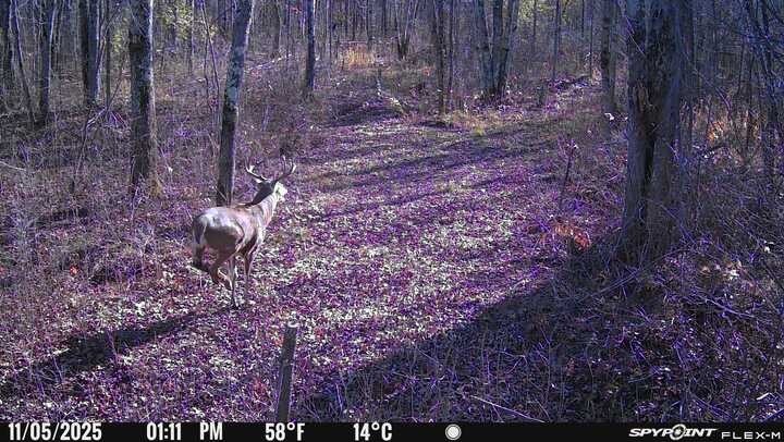 0 R Applebee Road, Exeland, WI — photo 22