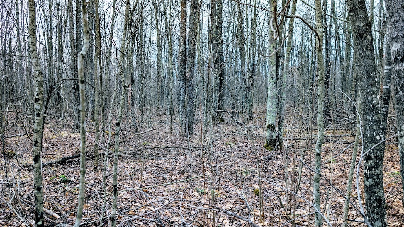 0 R Applebee Road, Exeland, WI — photo 23