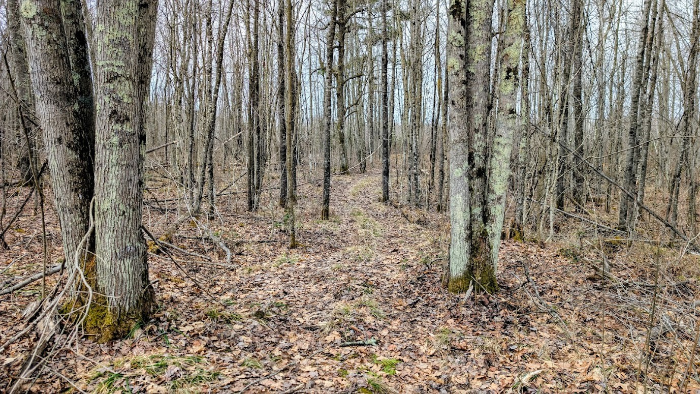 0 R Applebee Road, Exeland, WI — photo 24