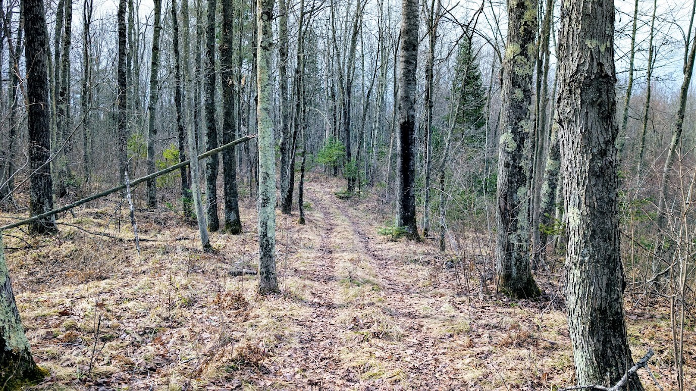 0 R Applebee Road, Exeland, WI — photo 25