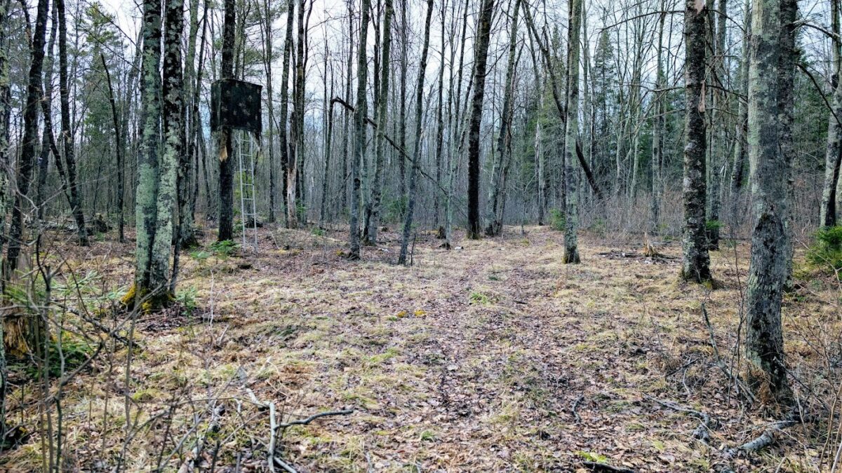 0 R Applebee Road, Exeland, WI — photo 26