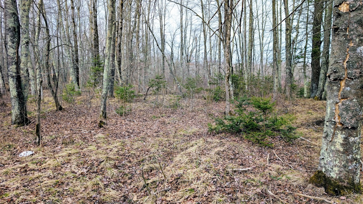 0 R Applebee Road, Exeland, WI — photo 27