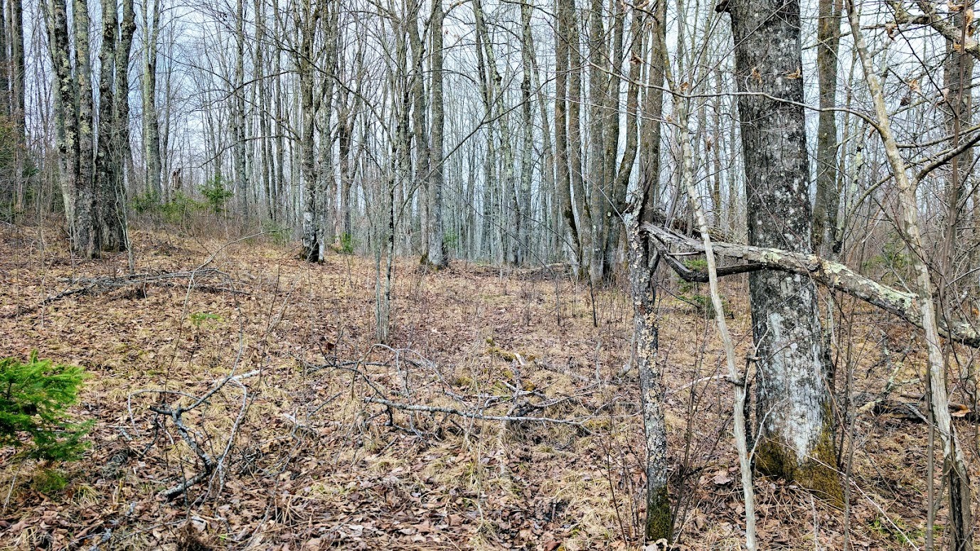 0 R Applebee Road, Exeland, WI — photo 29