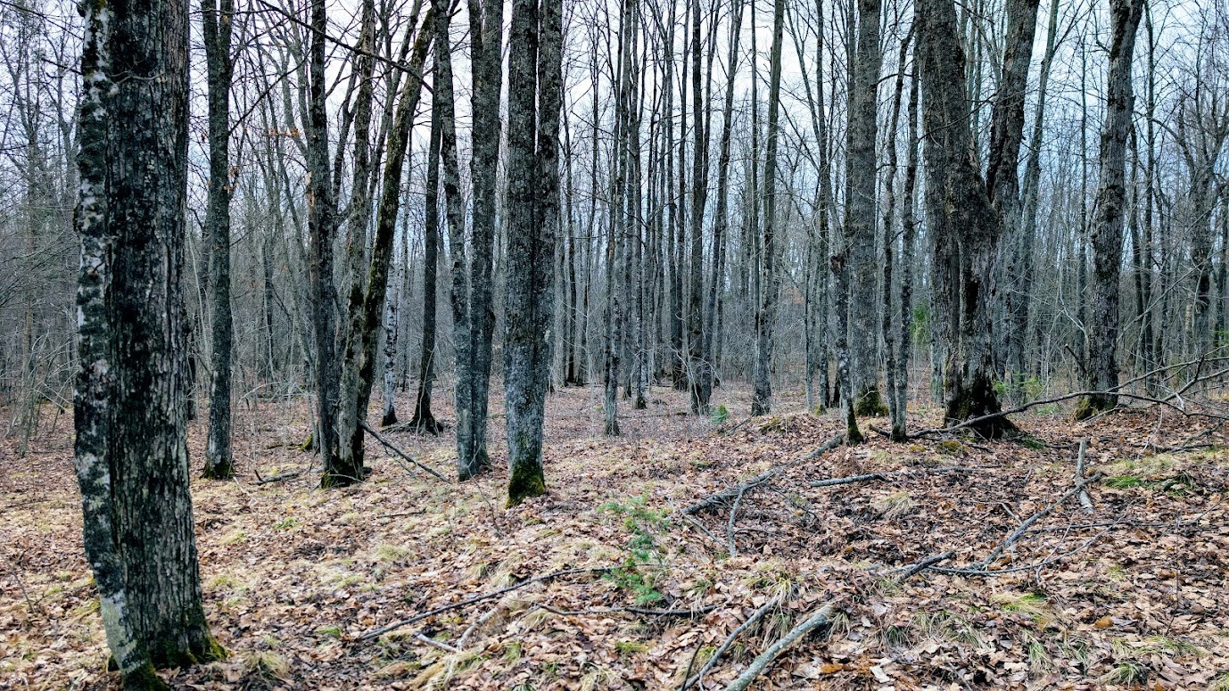 0 R Applebee Road, Exeland, WI — photo 30