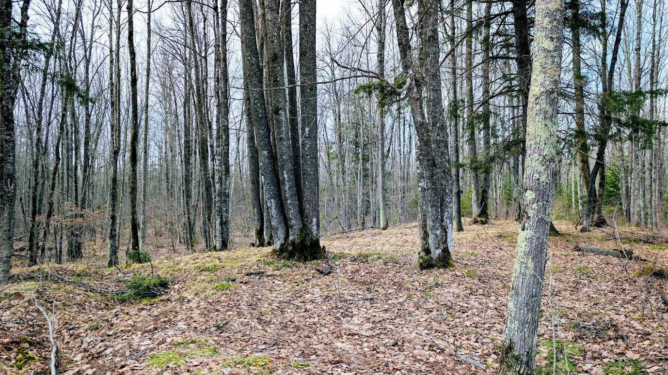 0 R Applebee Road, Exeland, WI — photo 32