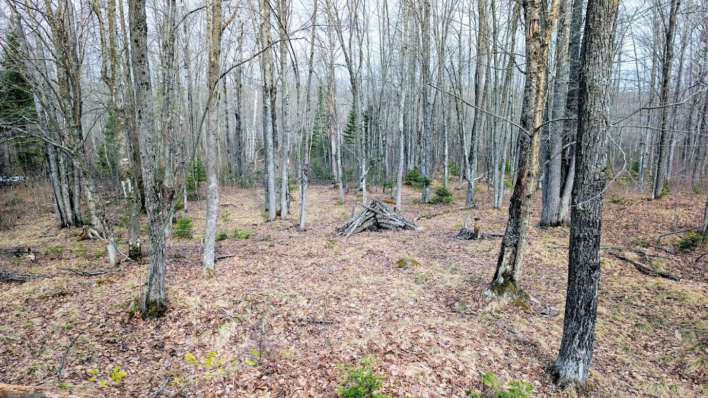 0 R Applebee Road, Exeland, WI — photo 33