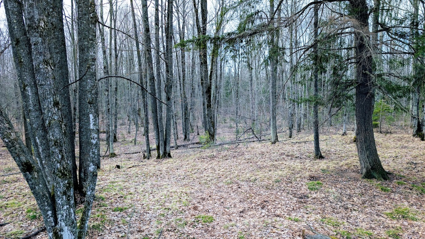 0 R Applebee Road, Exeland, WI — photo 34