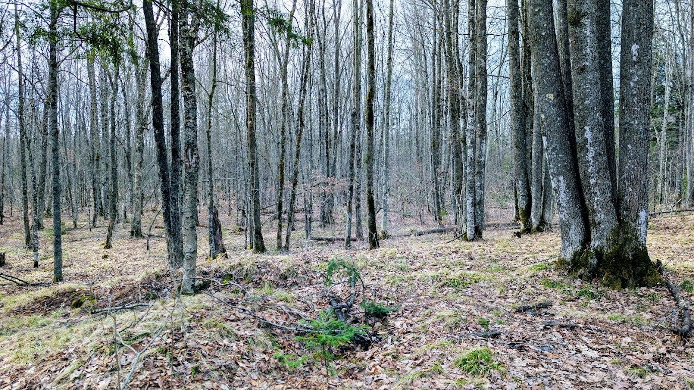 0 R Applebee Road, Exeland, WI — photo 35