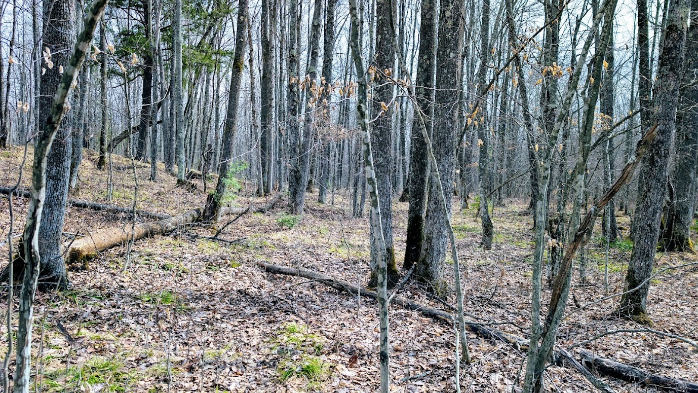 0 R Applebee Road, Exeland, WI — photo 36