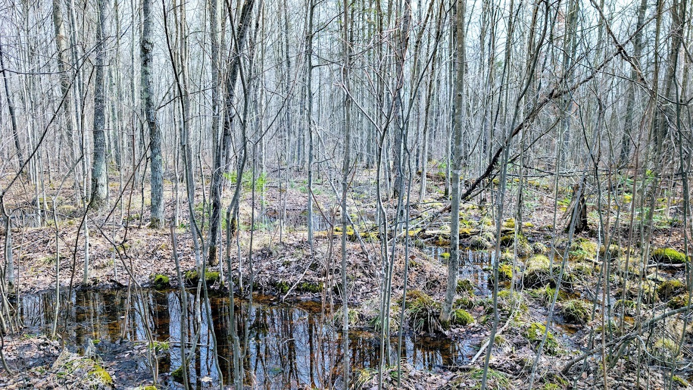 0 R Applebee Road, Exeland, WI — photo 37