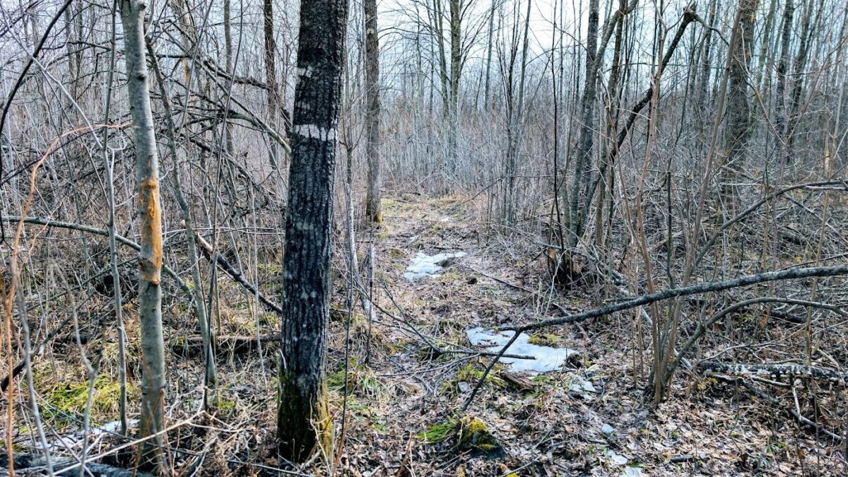 0 R Applebee Road, Exeland, WI — photo 40