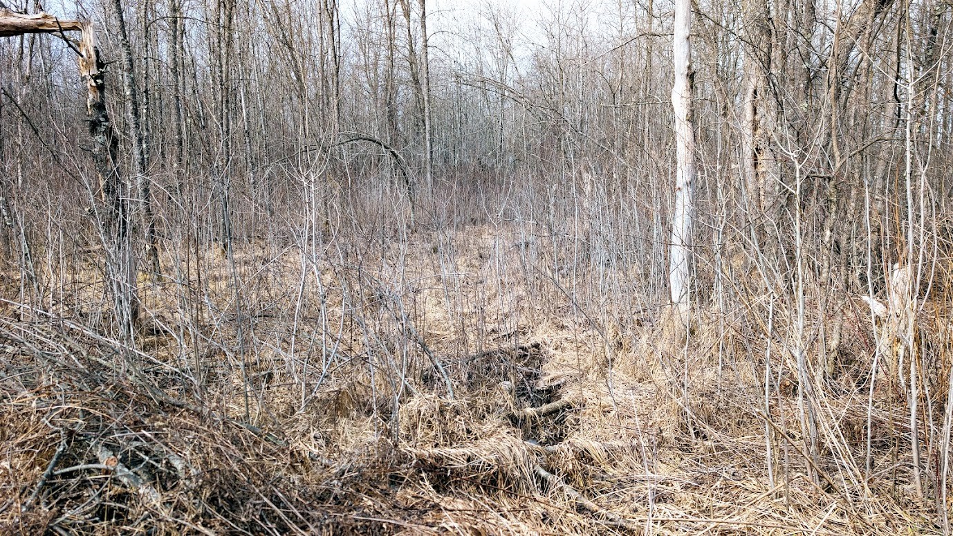 0 R Applebee Road, Exeland, WI — photo 44