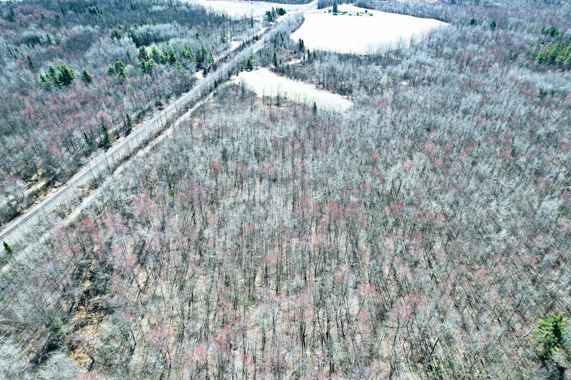 0 R Applebee Road, Exeland, WI — photo 5