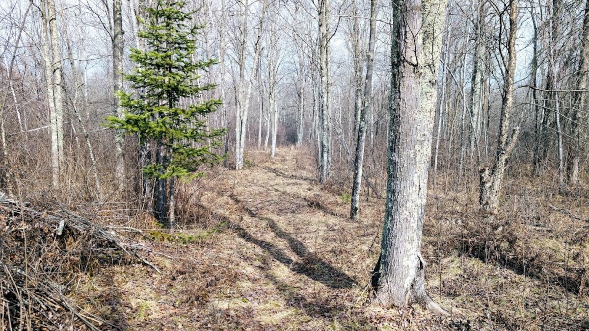 0 R Applebee Road, Exeland, WI — photo 50