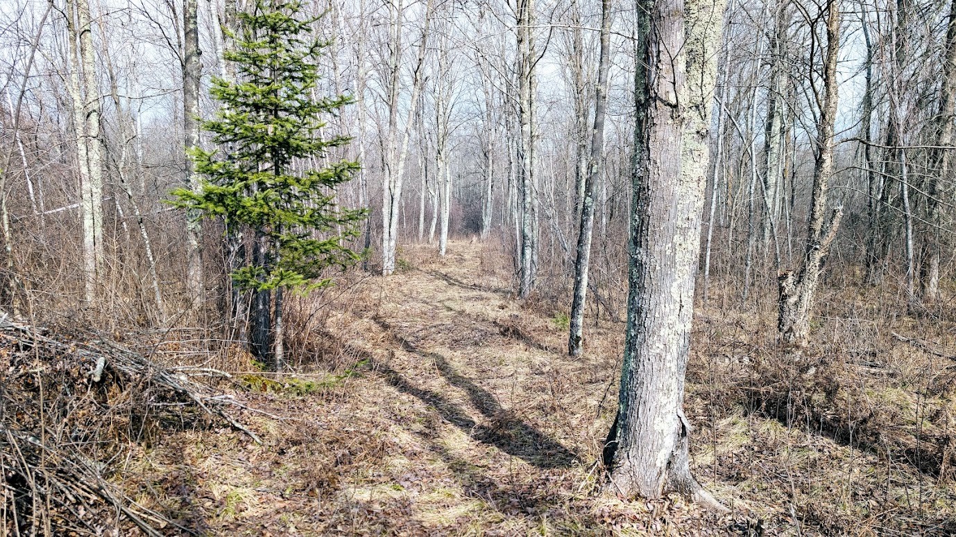 0 R Applebee Road, Exeland, WI — photo 50