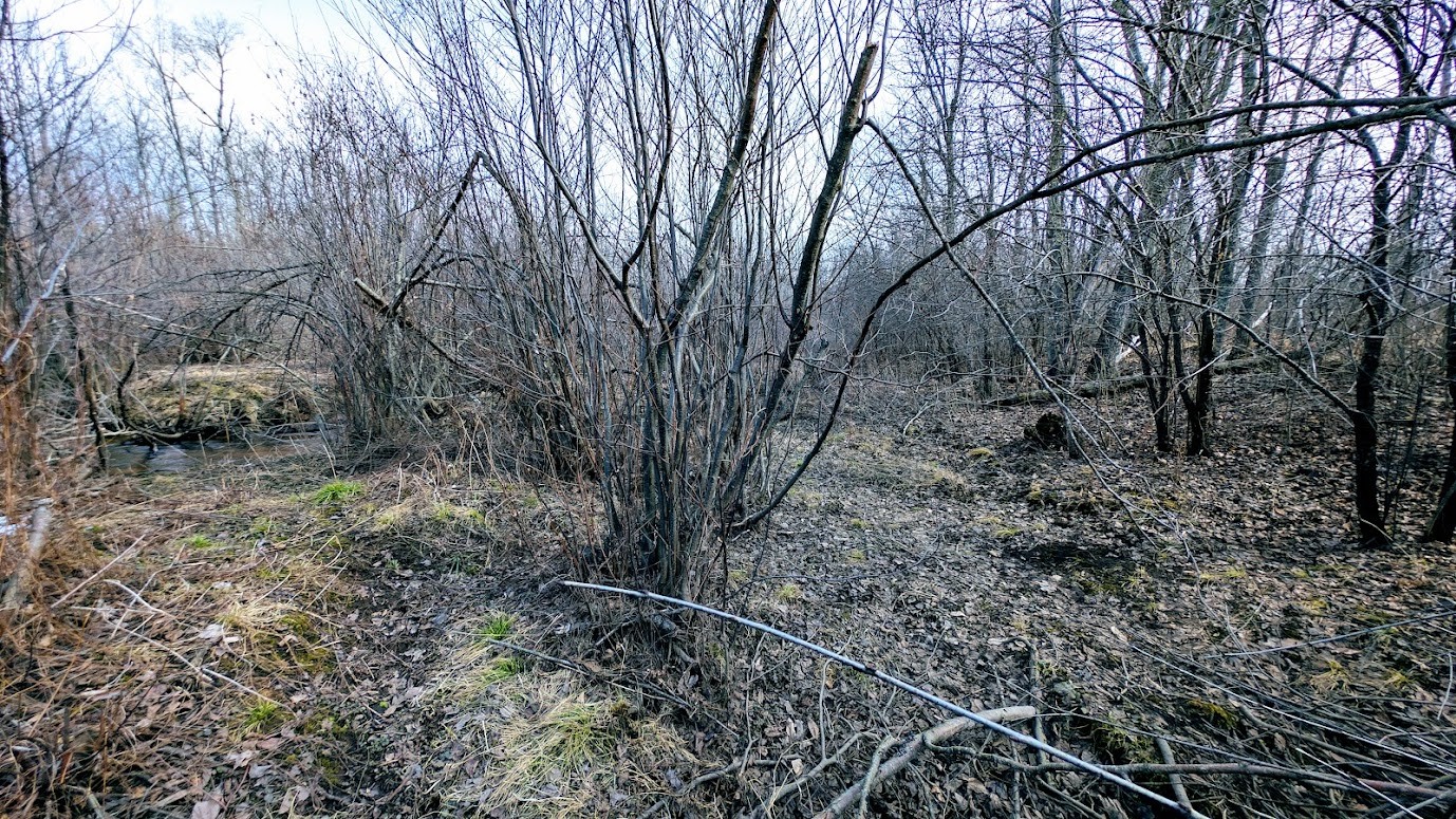 0 R Applebee Road, Exeland, WI — photo 52