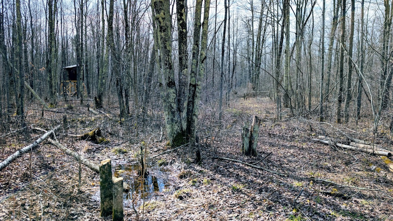 0 R Applebee Road, Exeland, WI — photo 55