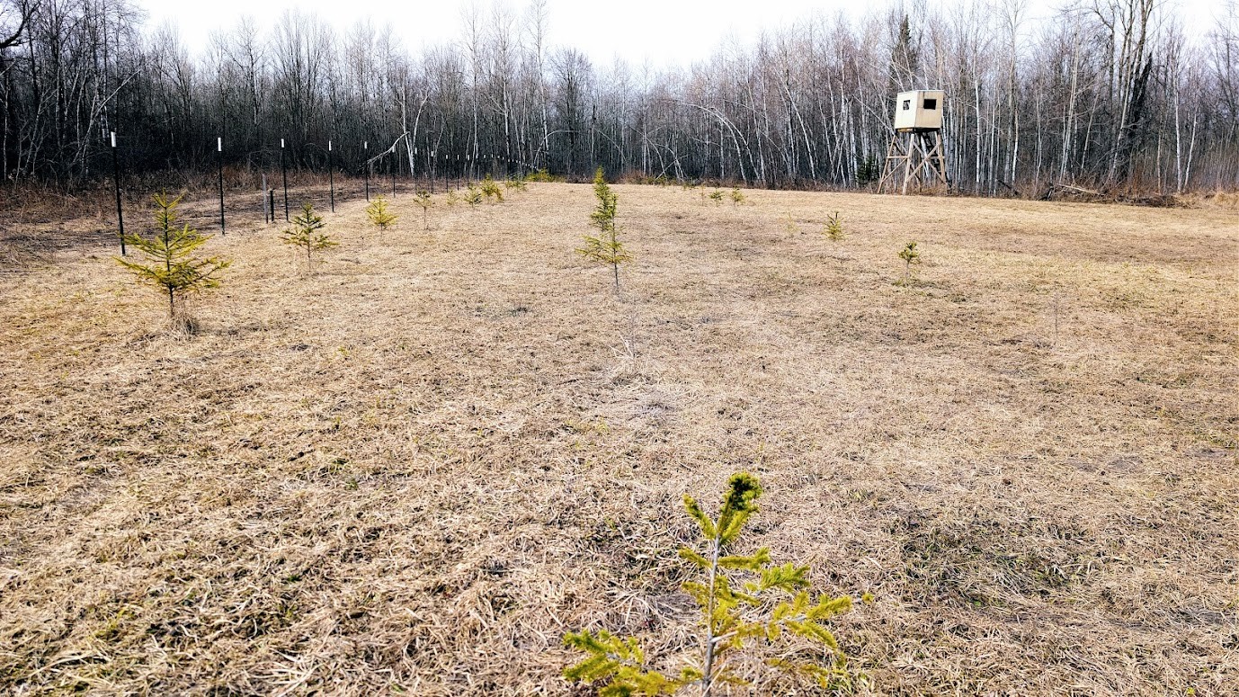 0 R Applebee Road, Exeland, WI — photo 59