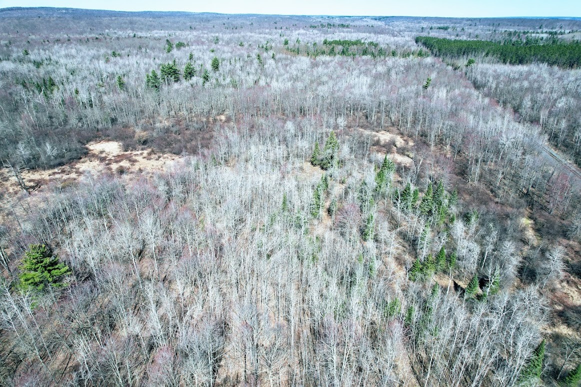 0 R Applebee Road, Exeland, WI — photo 6