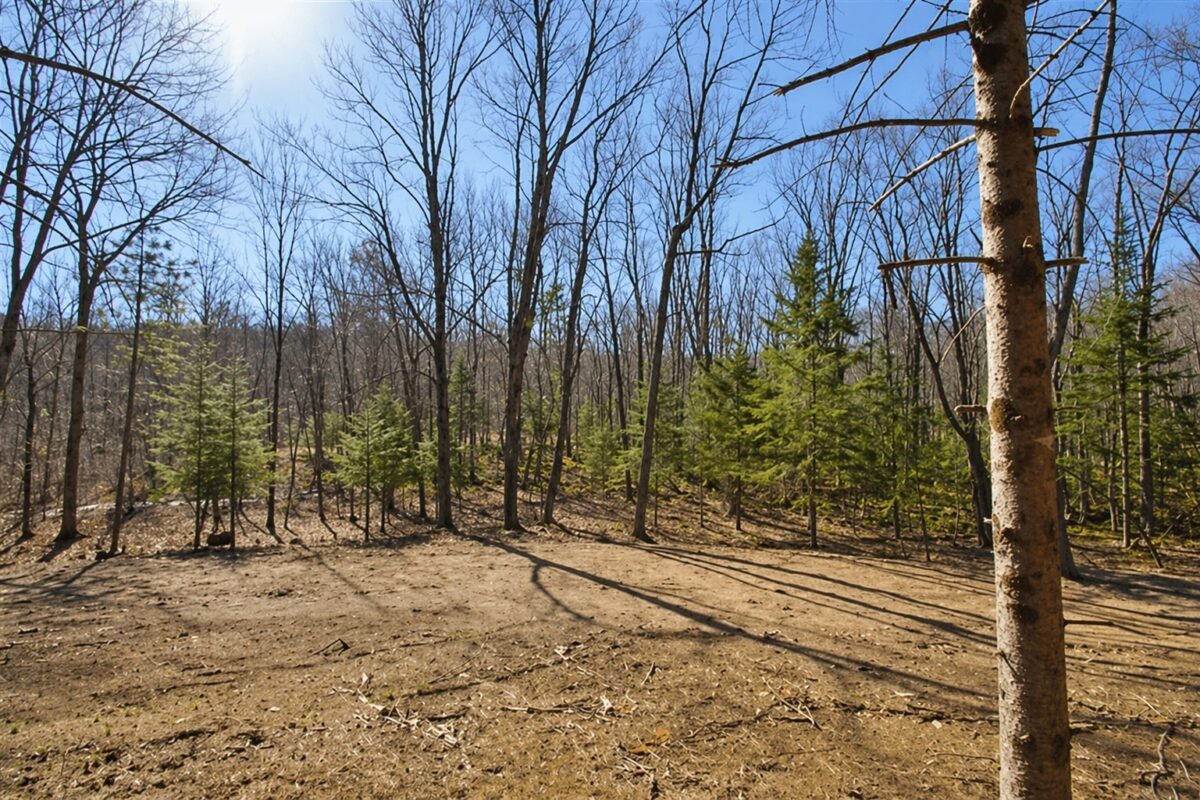 0 Ranch Road, Stone Lake, WI — photo 10