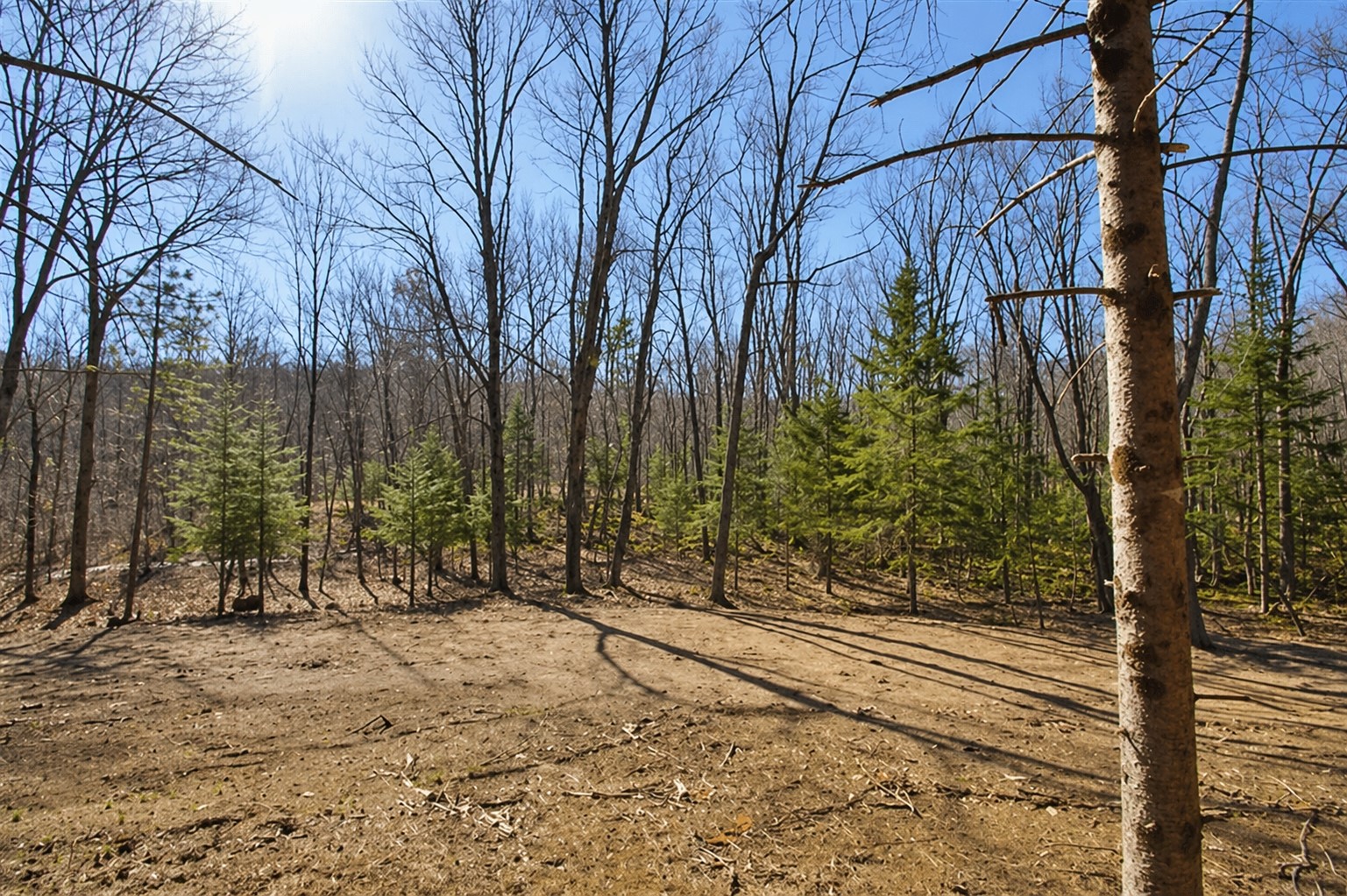 0 Ranch Road, Stone Lake, WI — photo 10