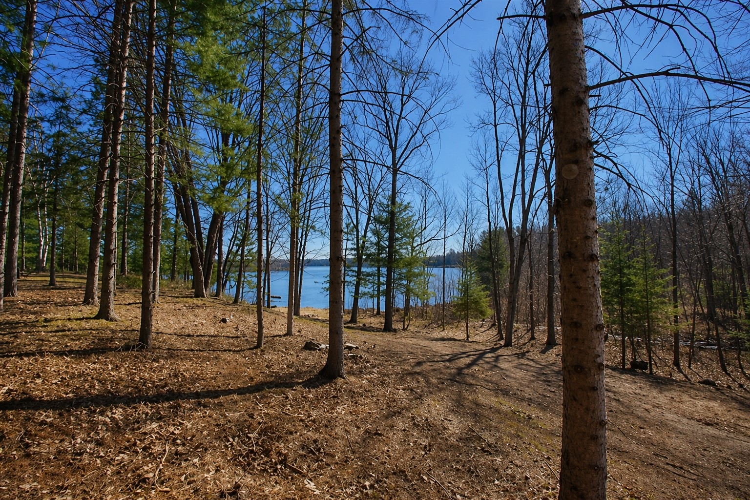 0 Ranch Road, Stone Lake, WI — photo 11