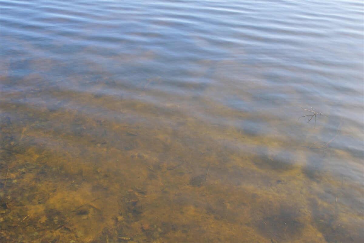 0 Ranch Road, Stone Lake, WI — photo 2