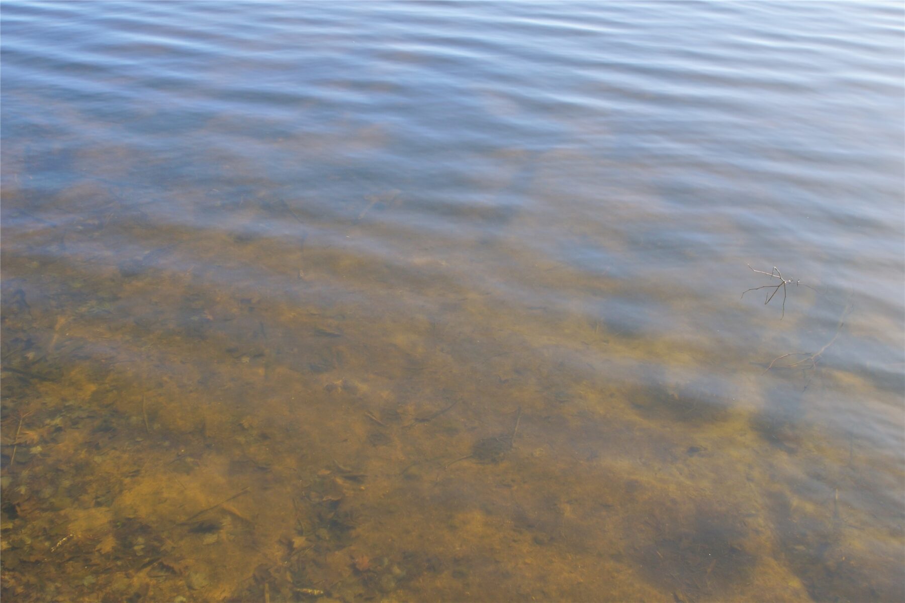 0 Ranch Road, Stone Lake, WI — photo 2