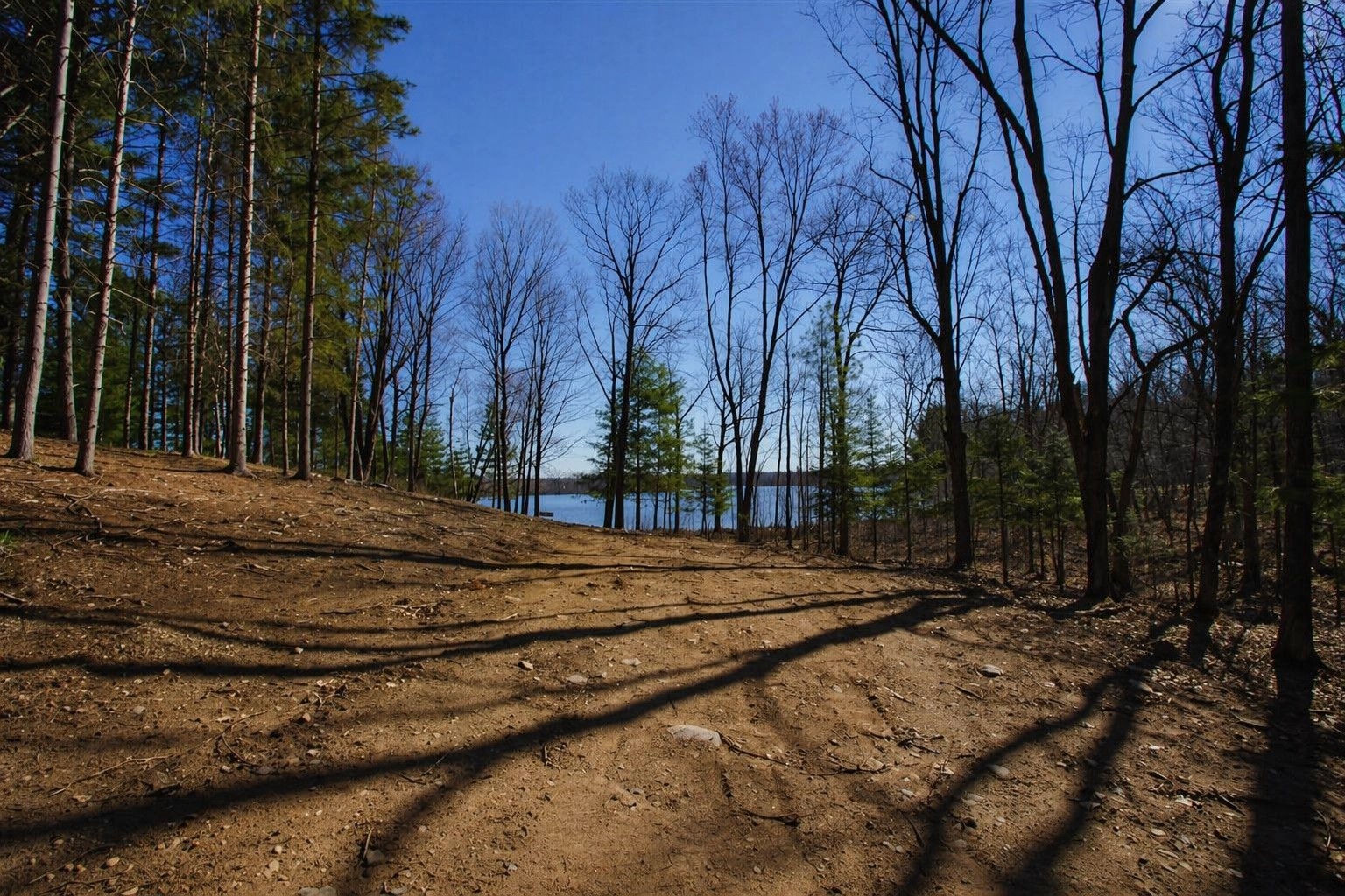 0 Ranch Road, Stone Lake, WI — photo 5