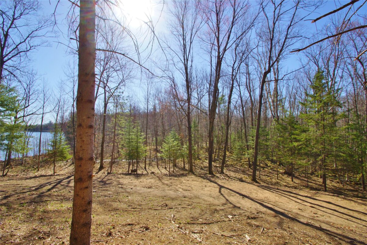 0 Ranch Road, Stone Lake, WI — photo 8