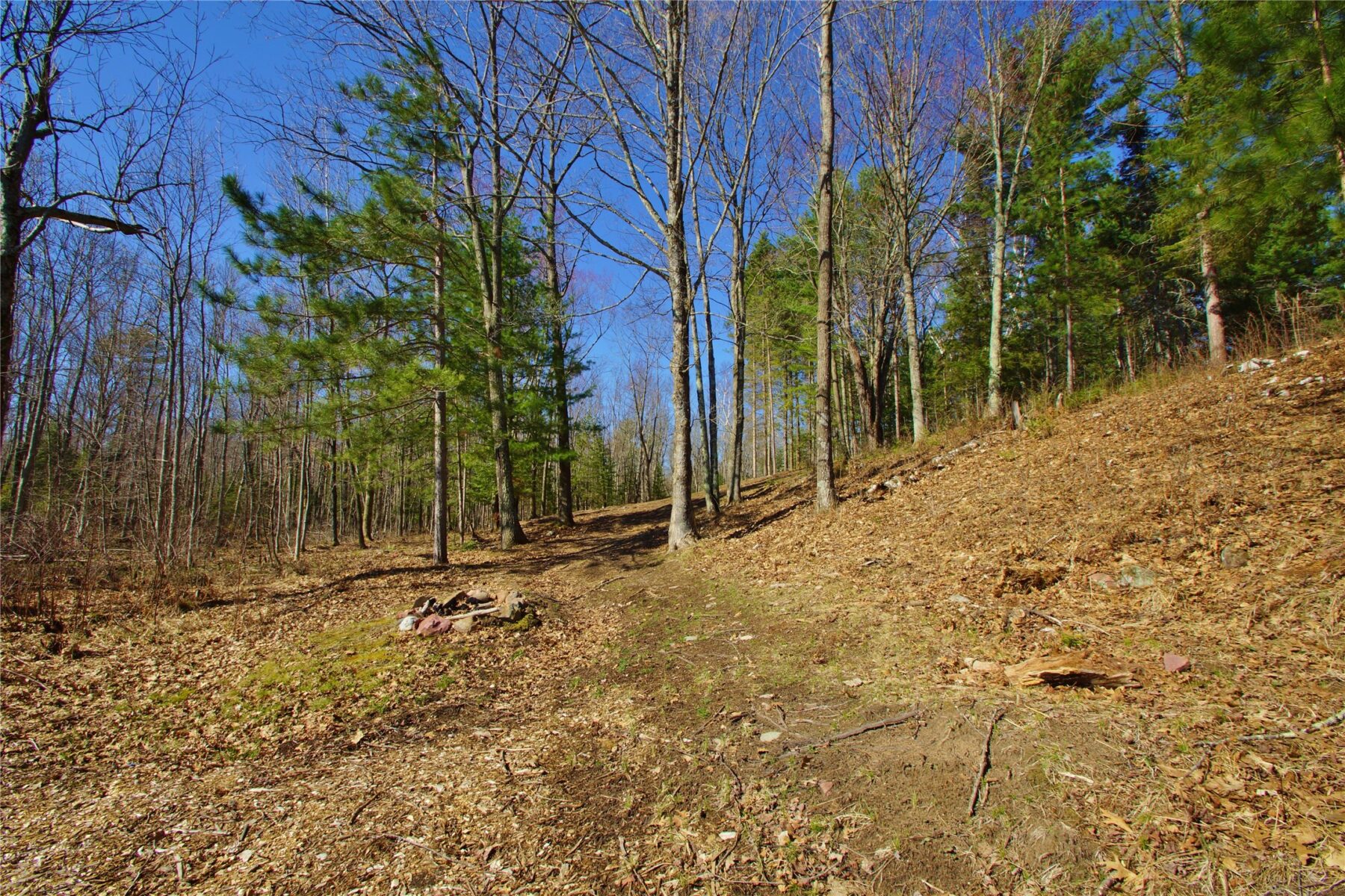 0 Ranch Road, Stone Lake, WI — photo 9