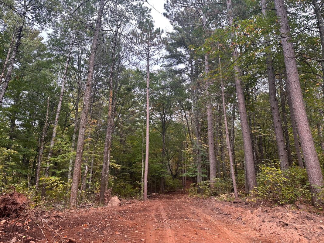 0 N Sabin Road Hayward WI 54843 — photo 2