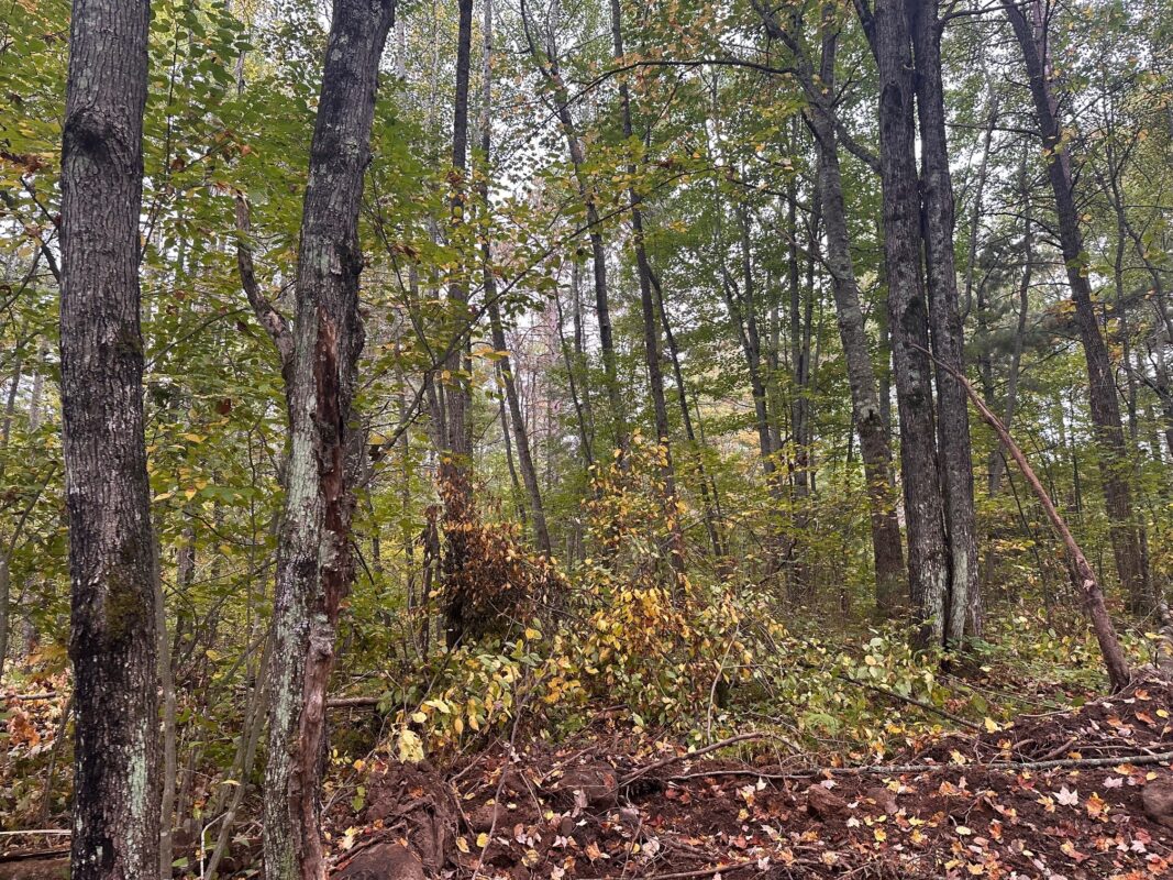 0 N Sabin Road Hayward WI 54843 — photo 4