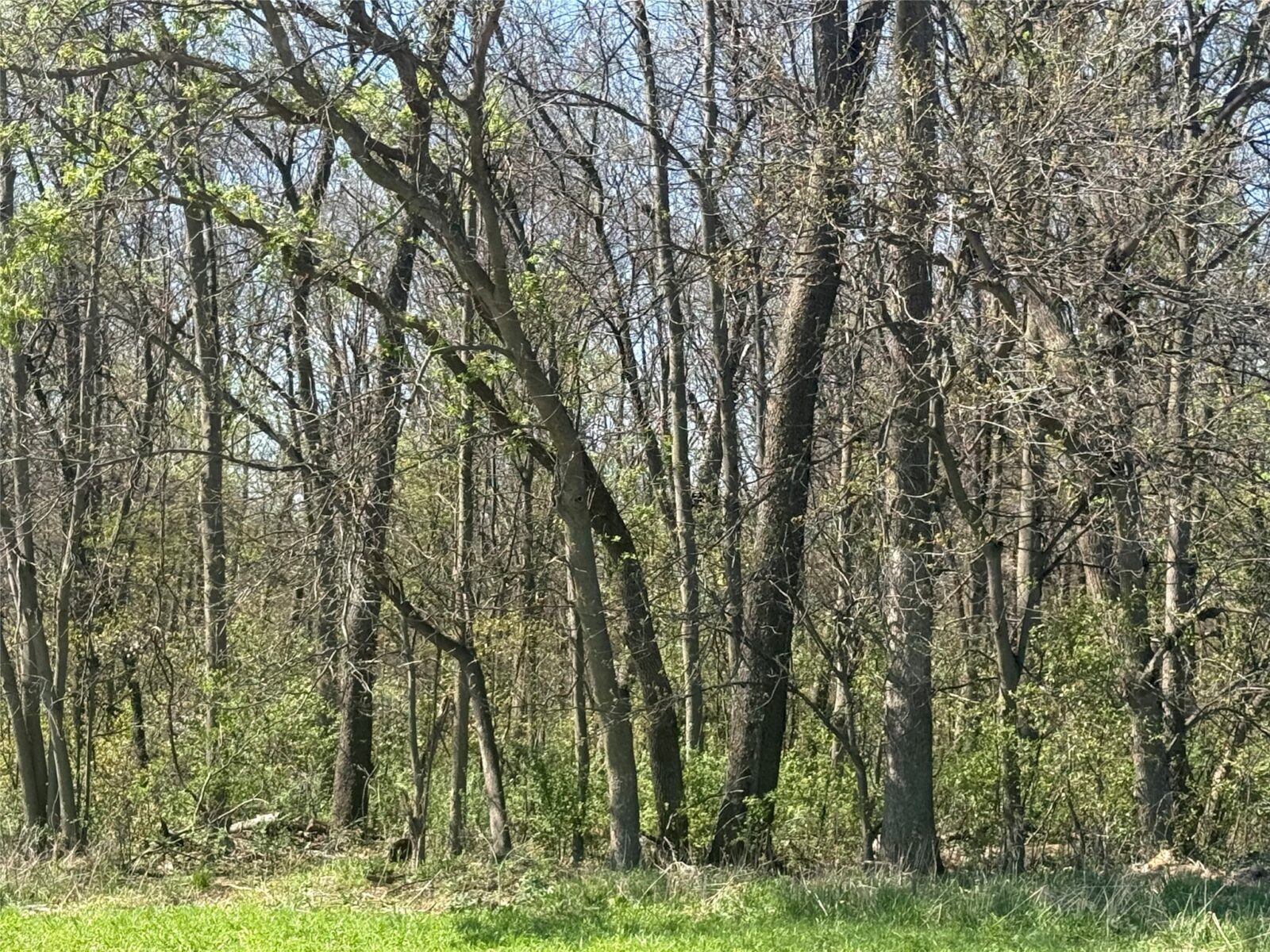 Land at 00 County Road CC, Pepin, WI 54759 — photo 11